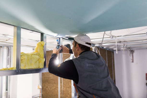Best Cellulose Insulation in Granvle, IL